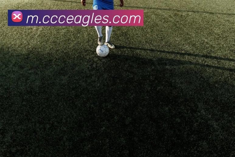 mksports官方网站登录入口发展历程